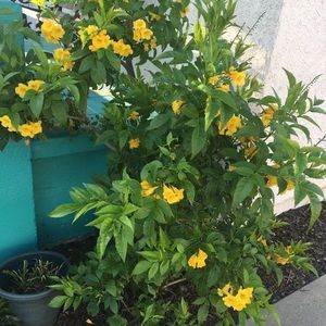 Meet your Posher, Cassel